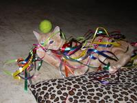 Sam playing with ribbons