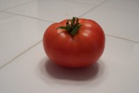 Tomato