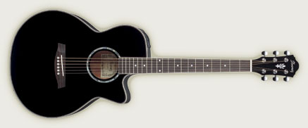 Ibanez AEG10